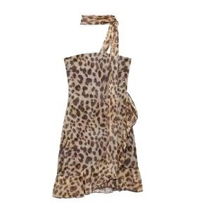 Zara leopard dress, never worn, new with tags, size L